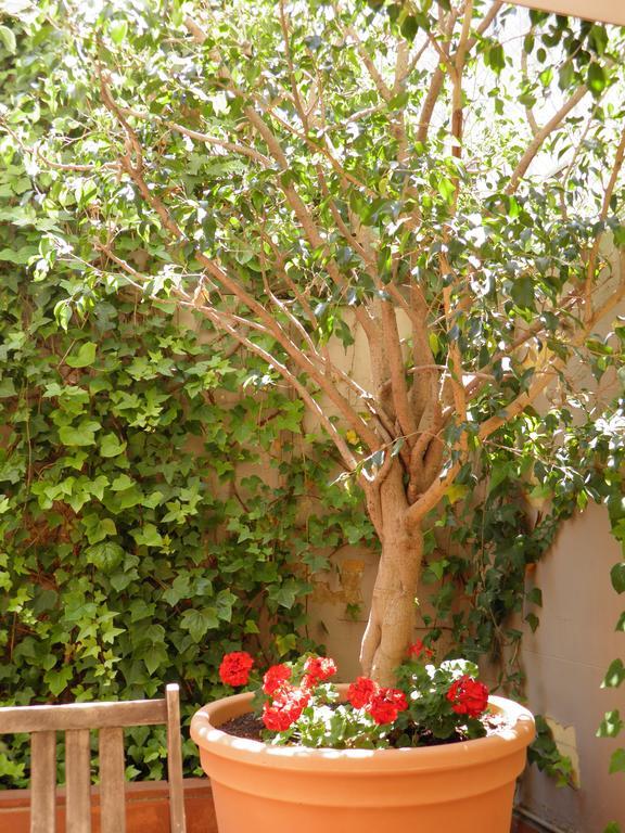 Suitur Courtyard Apartment Barcelona Eksteriør bilde
